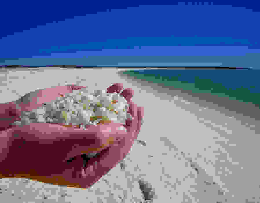 shell-beach7.jpg