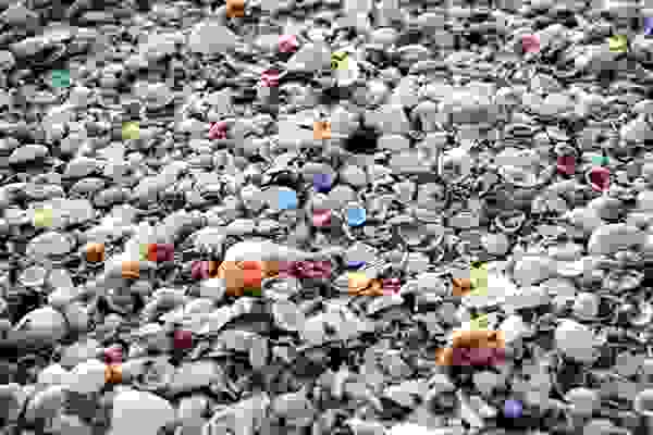 shellbeach8.jpg