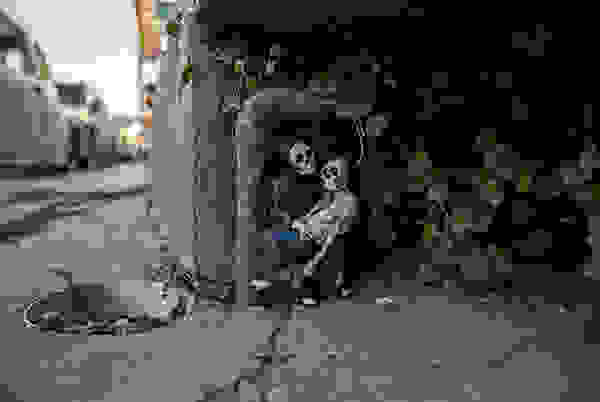 skeleton1.jpg