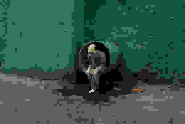 skeleton2.jpg