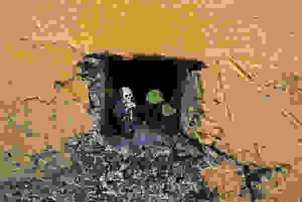 skeleton4.jpg