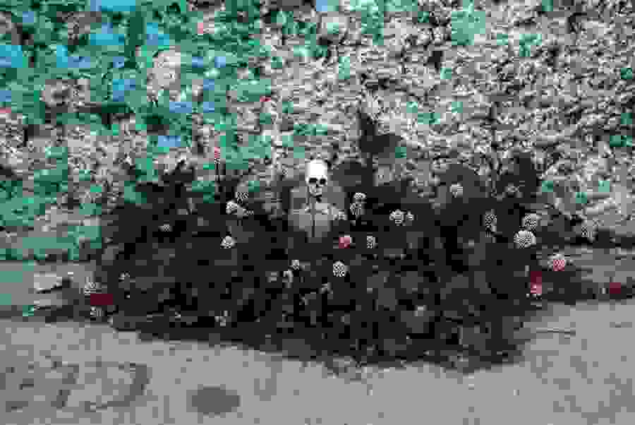 skeleton6.jpg