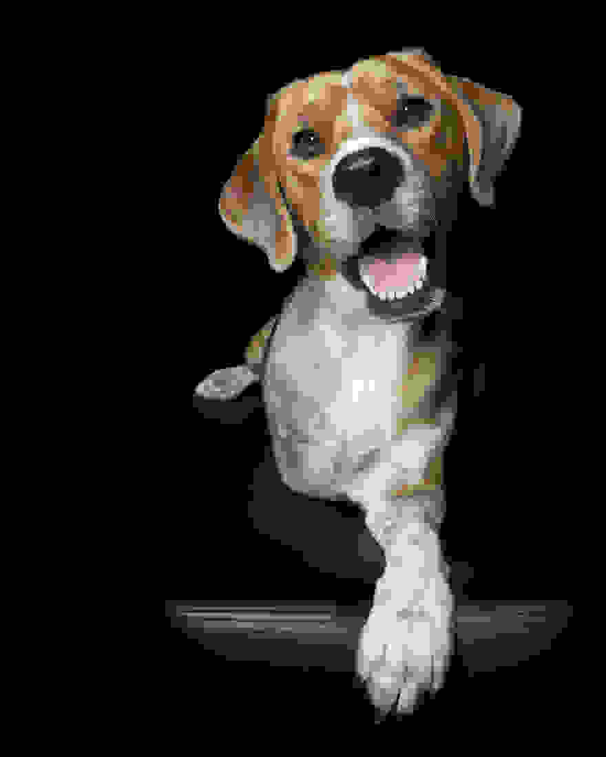 snoopy-3i-teleiotita-ton-ateleion-.jpg