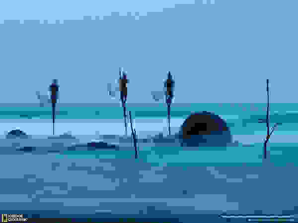 stilt-fisherman-7.jpg