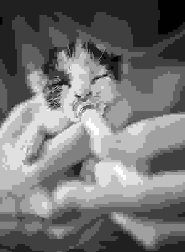 straykitten1.jpg
