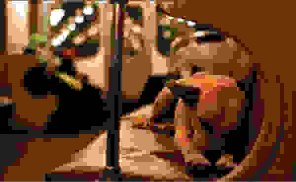 straytrain2.jpg