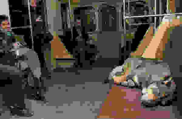 straytrain3.jpg