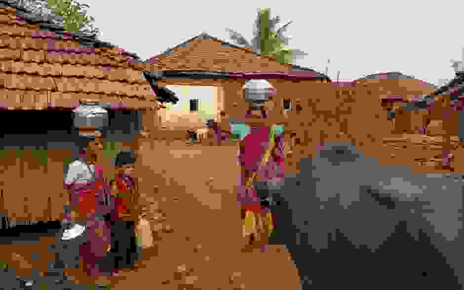 suzugoi-india-13.jpg