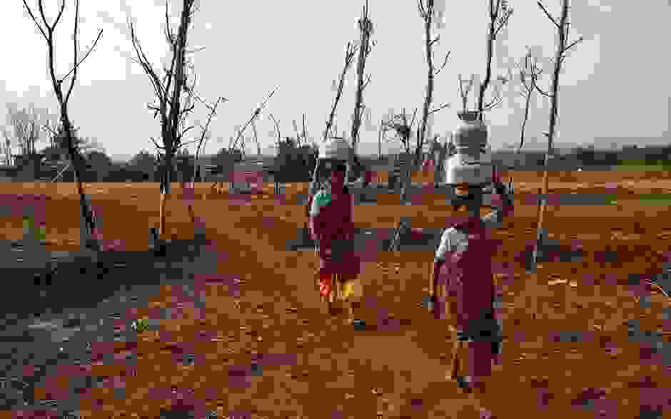 suzugoi-india-17.jpg