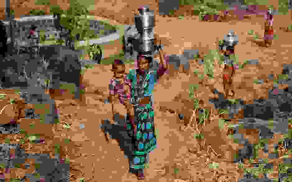 suzugoi-india-19.jpg