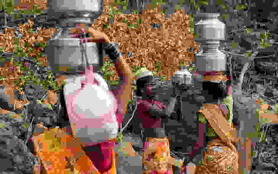 suzugoi-india-20.jpg