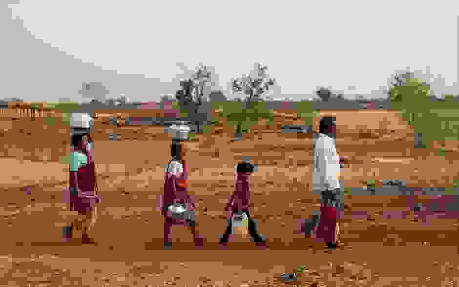 suzugoi-india-21.jpg