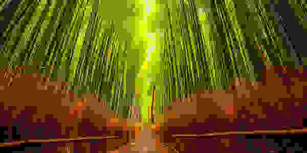 tainiako1.jpg