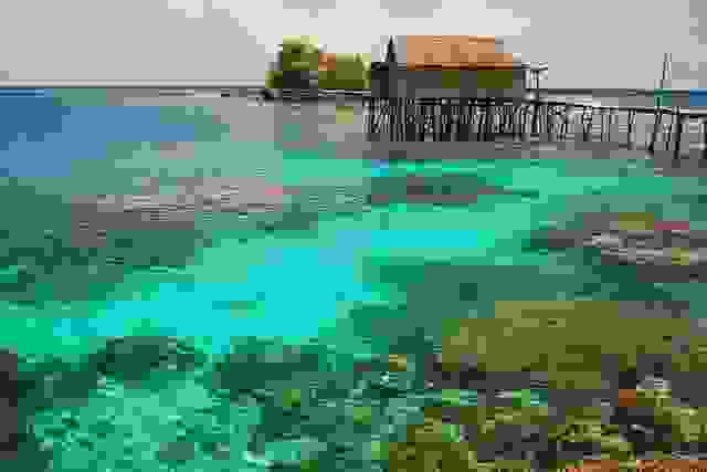 taman-nasional-kepulauan-togean-resize-8.jpg