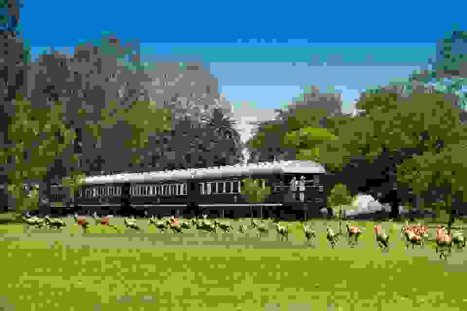 taxidia-me-treno-74.jpg