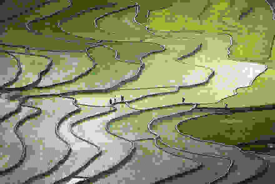 terraced-rice-fields-12__880.jpg