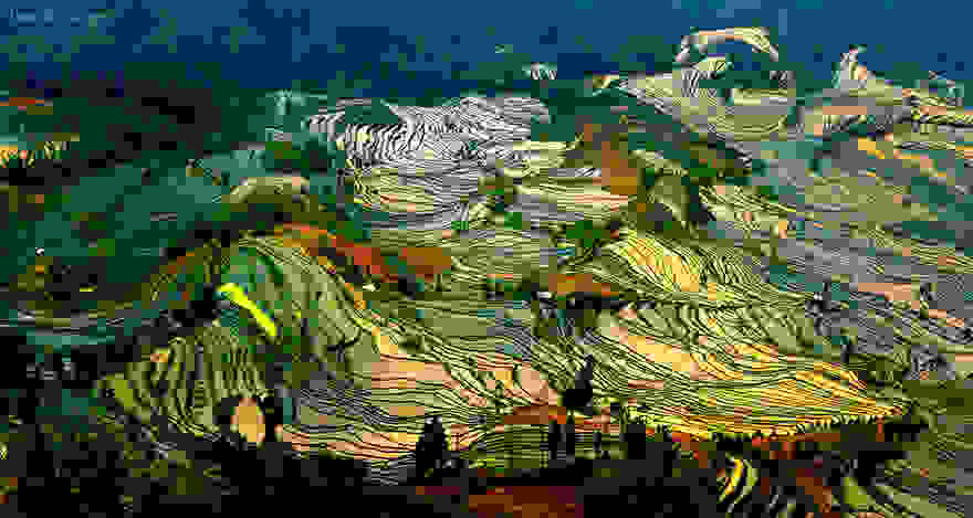 terraced-rice-fields-26__880.jpg