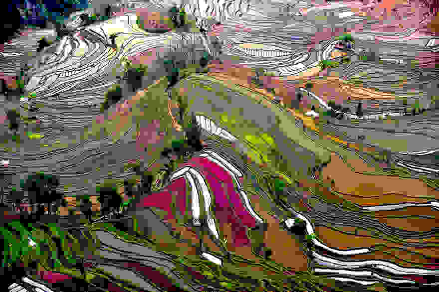 terraced-rice-fields-2__880.jpg