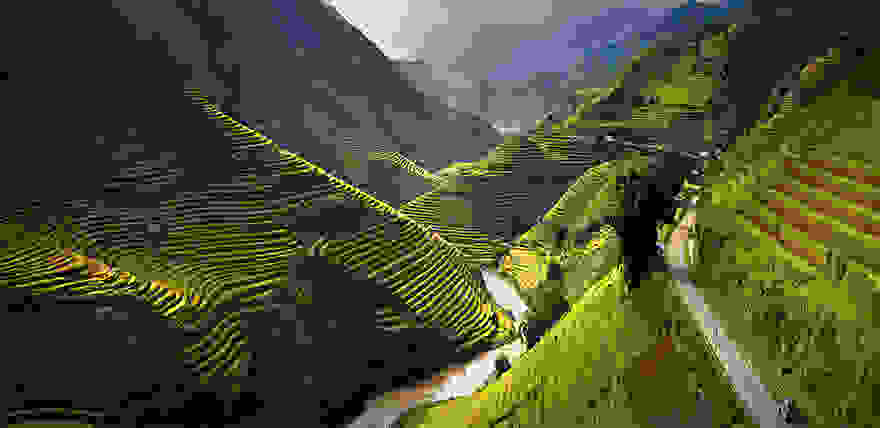 terraced-rice-fields-3__880.jpg
