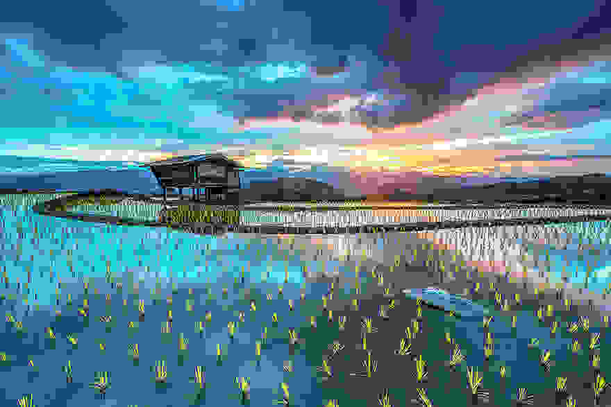 terraced-rice-fields-4__880.jpg
