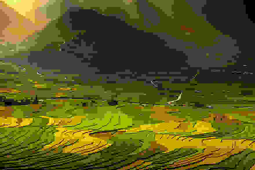 terraced-rice-fields-5__880.jpg