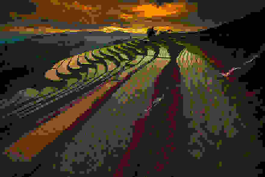 terraced-rice-fields-7__880.jpg