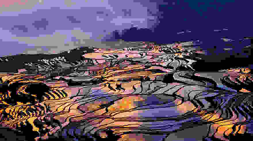 terraced-rice-fields-9__880.jpg