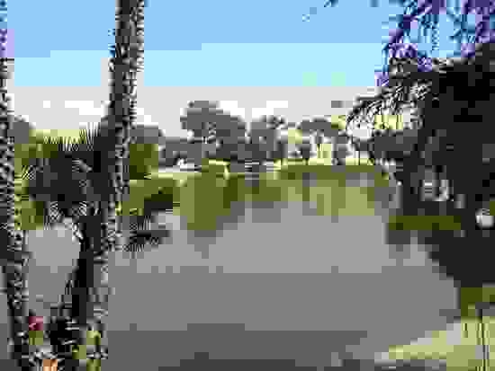 the-desert-oasis-of-huacachina-pisco.jpg