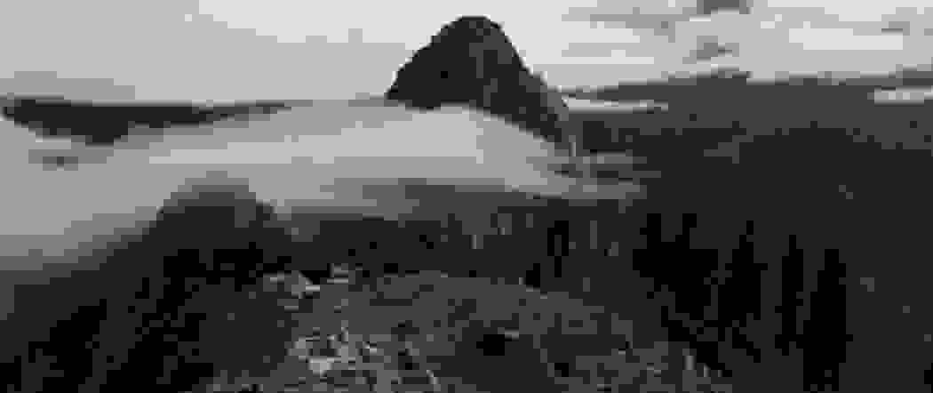thymomeni-fysi-0.jpg