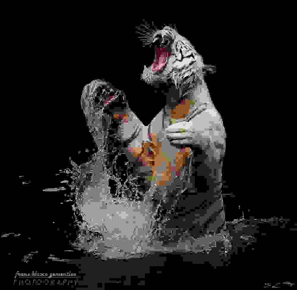 tigers20.jpg