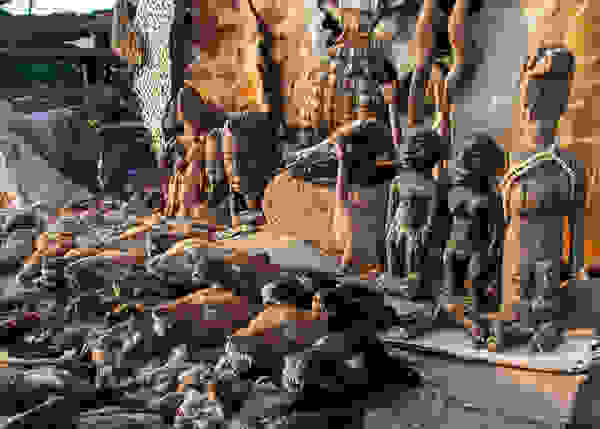togo2.jpg