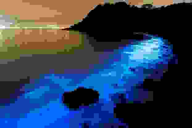 toxiko-theama6.jpg