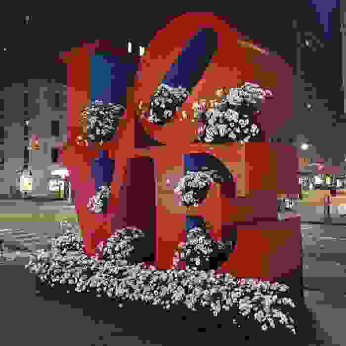 trash-cans-flowers-new-york-lewis-miller-8.jpg