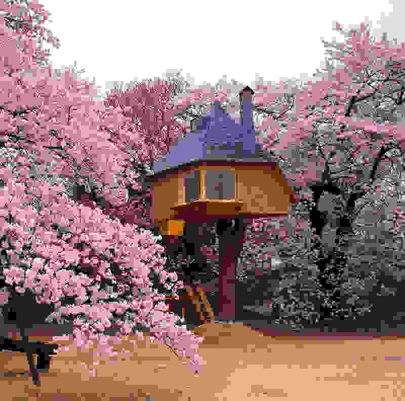 tree-house0.jpg