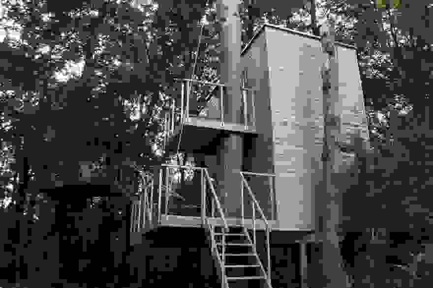 tree-inside-house-architecture-2.jpg