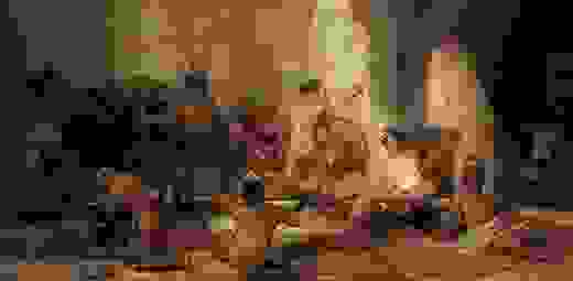 trelokomio.jpg