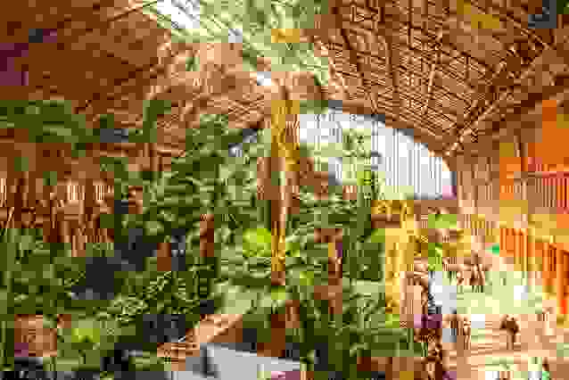 trenoi3