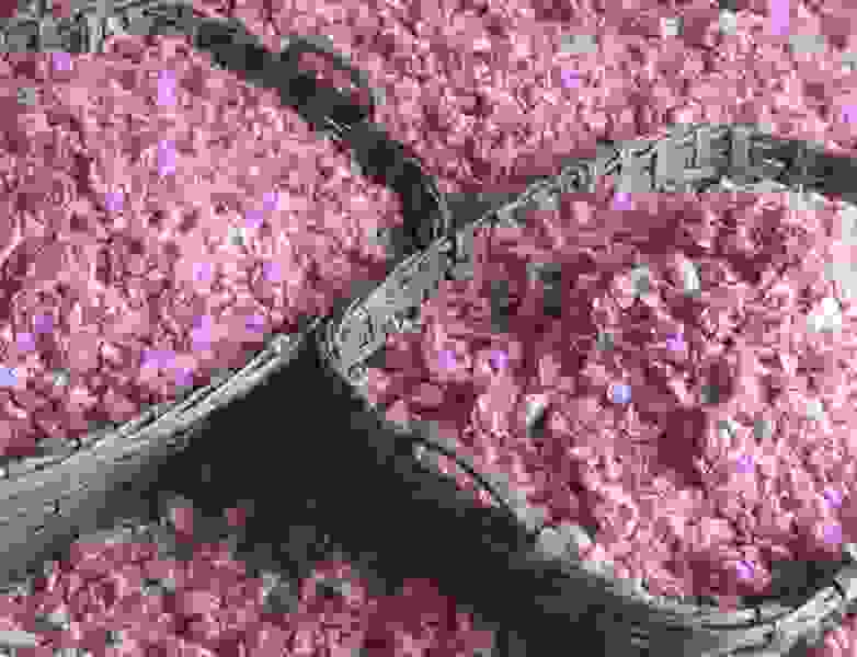 trvlcteazrgrsse1128a-782x600.jpg