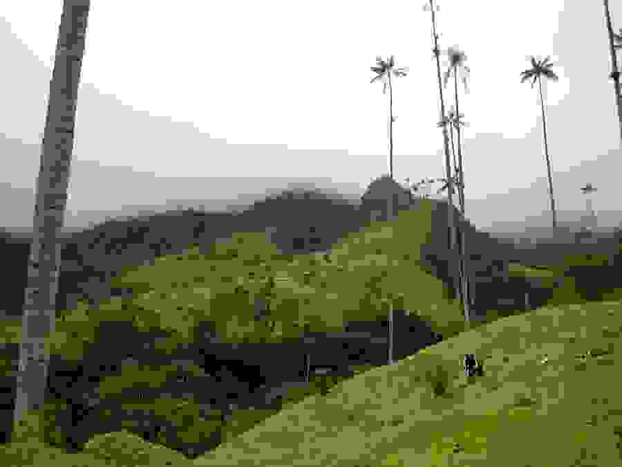 valle_de_cocora1.jpg