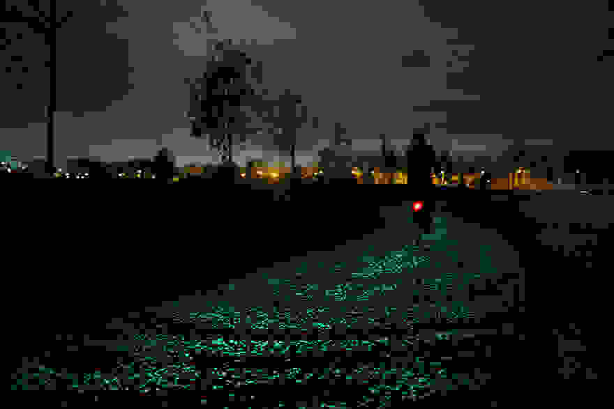 van-gogh-starry-night-glowing-bike-path-daan-roosengaarde-1.jpg