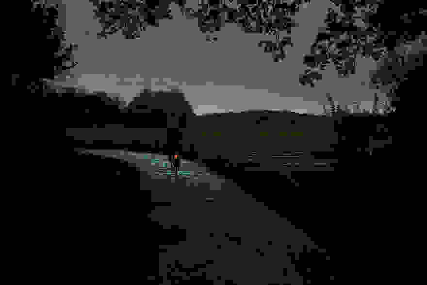 van-gogh-starry-night-glowing-bike-path-daan-roosengaarde-2.jpg