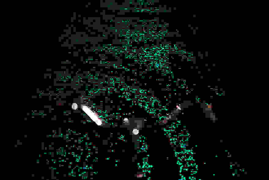 van-gogh-starry-night-glowing-bike-path-daan-roosengaarde-3.jpg