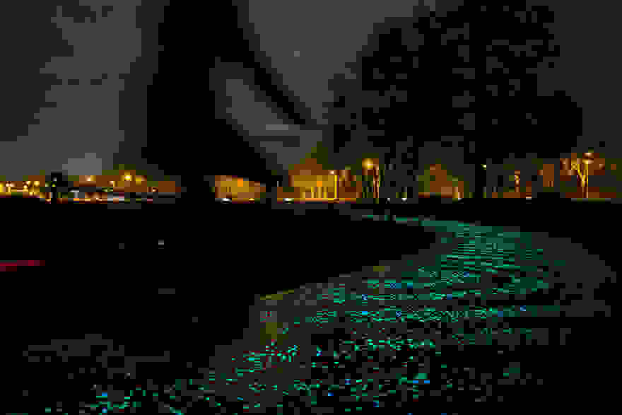 van-gogh-starry-night-glowing-bike-path-daan-roosengaarde-5.jpg