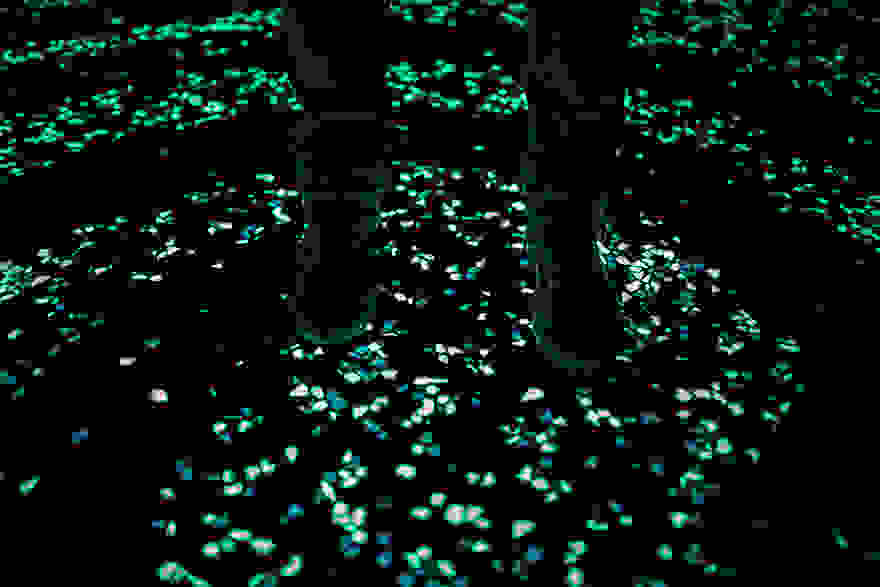 van-gogh-starry-night-glowing-bike-path-daan-roosengaarde-8.jpg