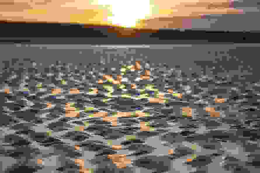 waddenb.jpg
