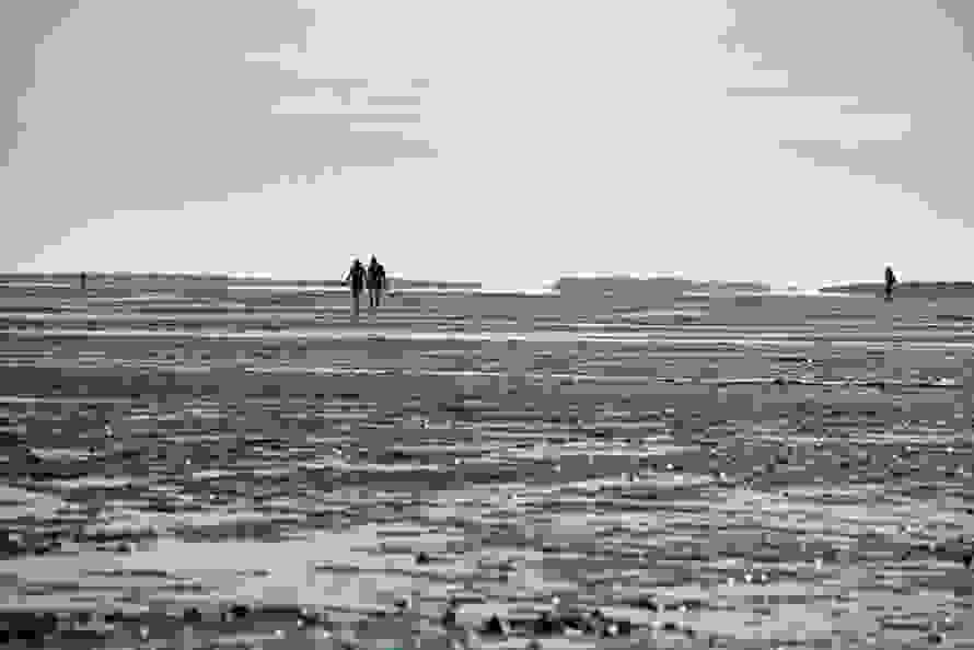 waddenc.jpg