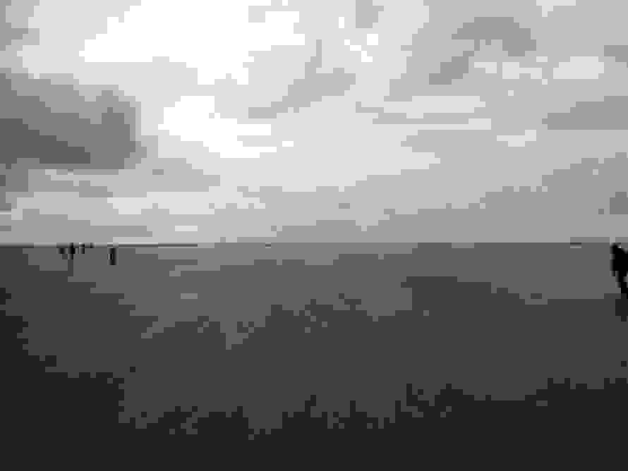 waddeni.jpg