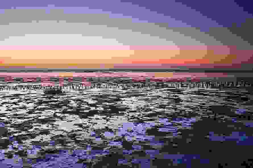 waddenj.jpg