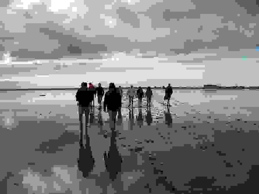 waddenn.jpg