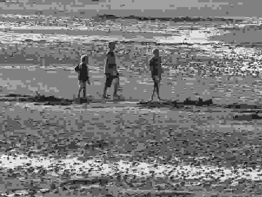 waddeno.jpg